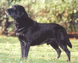 �����Ƒ��Ɍ}����O��